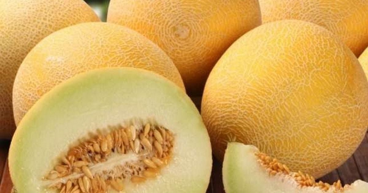 Чим корисна диня для жінок: головні переваги для здоров’я