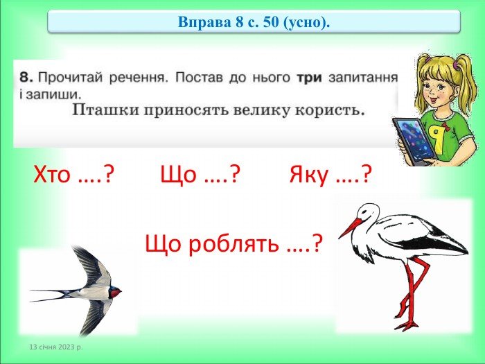 Чому пташки приносять велику користь для довкілля та людей?