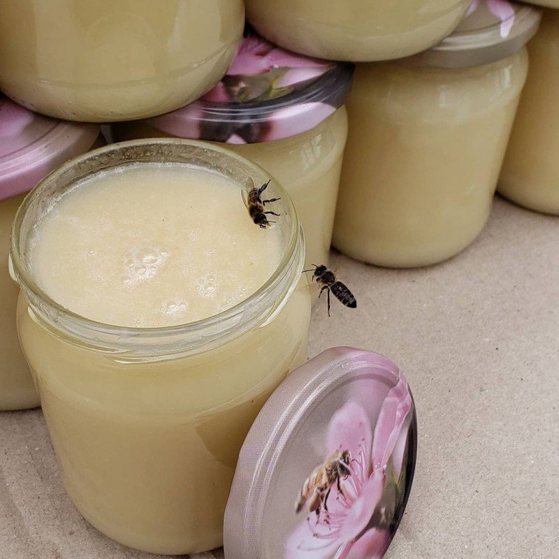 Користь ріпакового меду: які переваги для здоров’я?