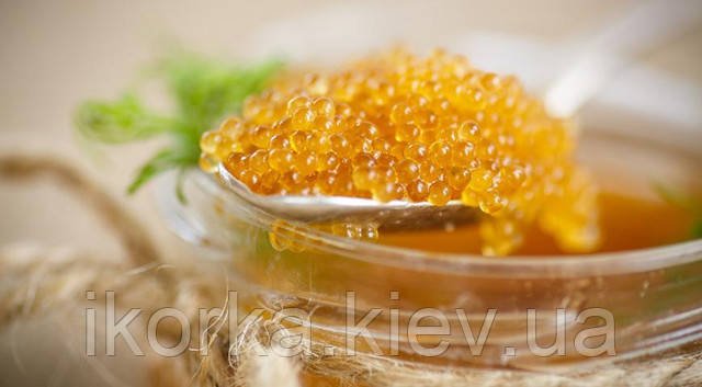 Чи корисна ікра щуки? Розкриття усіх переваг продукту