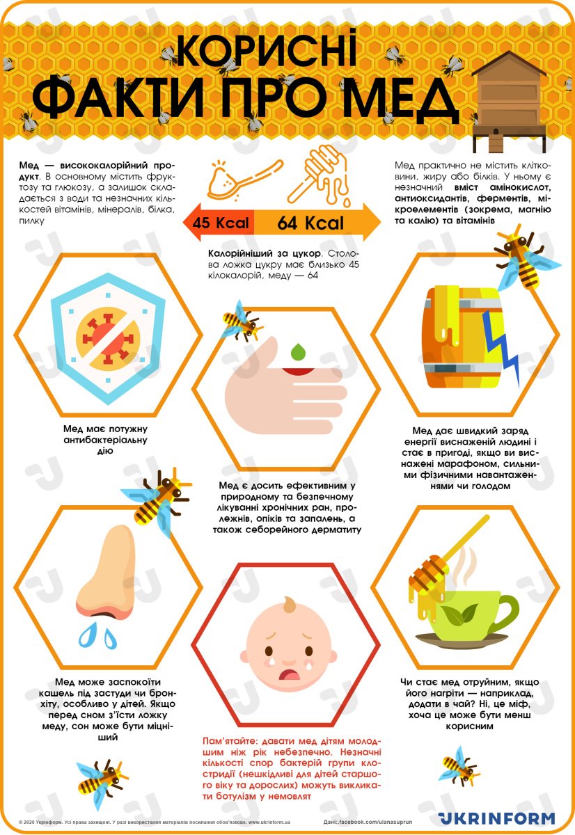 Яка користь меду для здоров’я: природний підсолоджувач чи ліки? Яка користь меду для здоров’я: природний підсолоджувач чи ліки?