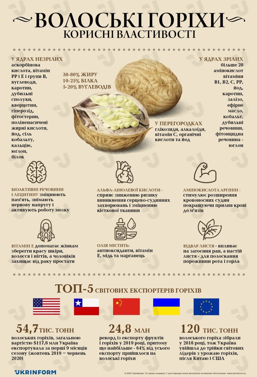 Чому волоські горіхи корисні: користь для здоров’я та організму?