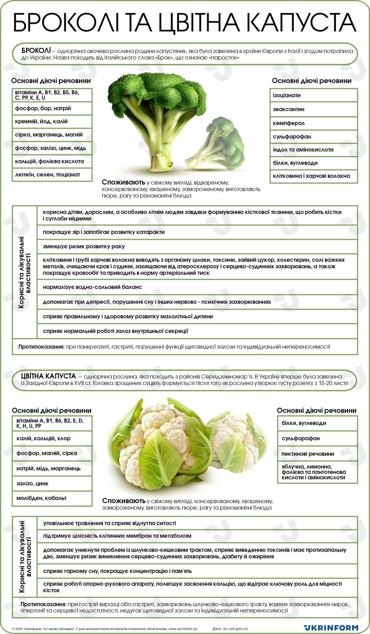 Як брокколі покращує здоров’я жінок: основні переваги продукту