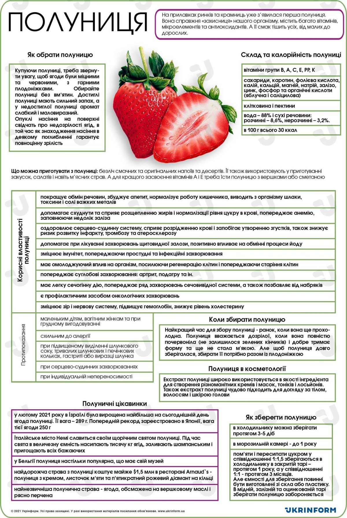 Які головні користі полуниці для дітей: вітаміни та здоров’я?