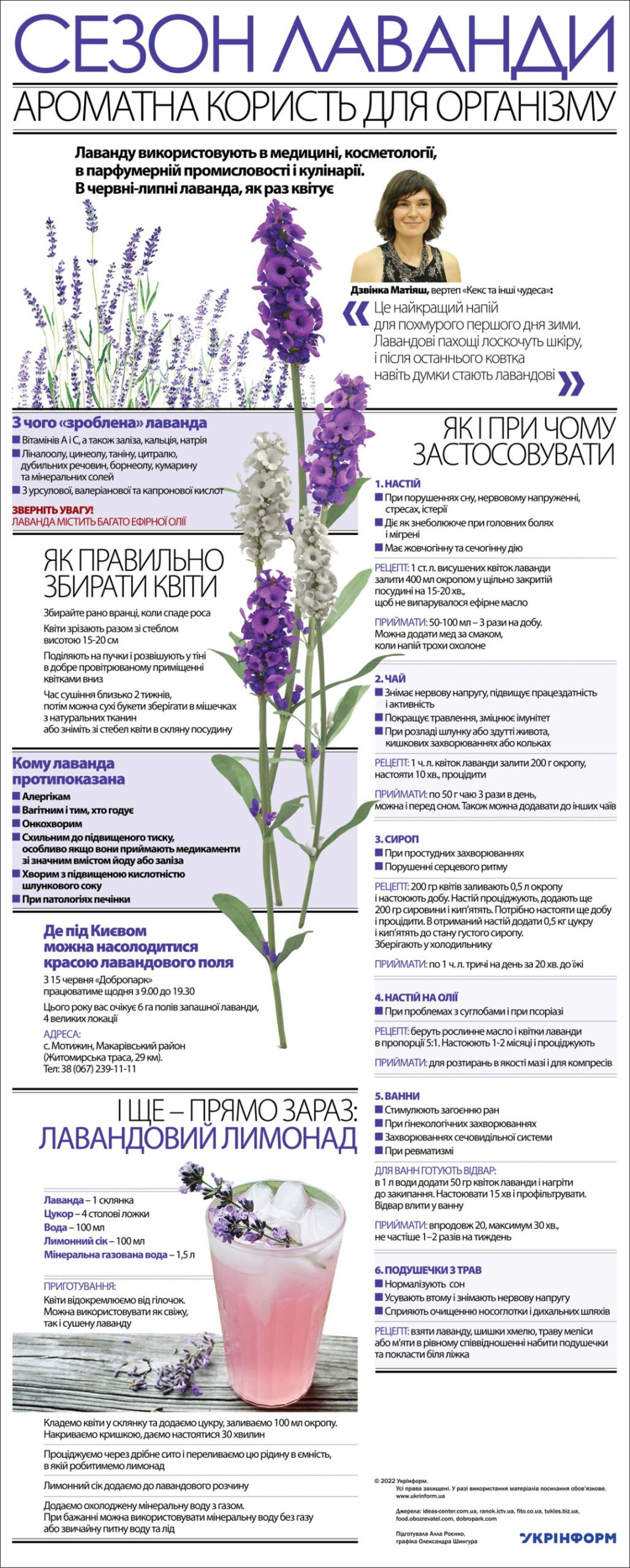Користь лаванди: які оздоровчі властивості цієї цілющої рослини?