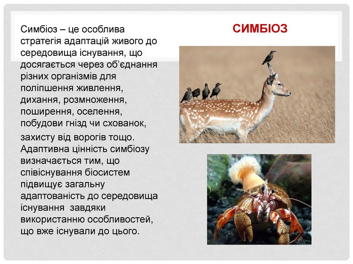 Яка форма симбіозу, за якої один із симбіонтів отримує користь?