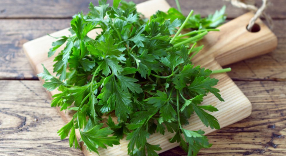 Яка користь петрушки для печінки? Розкриття переваг вживання