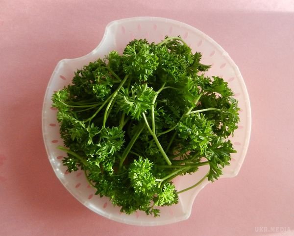 Чи завжди петрушка приносить користь і шкоду? Детальний розбір!