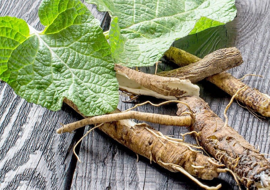 Чи справді корінь лопуха корисний? Відкрийте користь і шкоду!