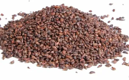 Користь і шкода виноградних кісточок: Чи варто їх вживати?