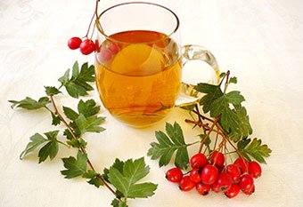 Чай з глоду: користь для здоров’я та його вплив на організм?