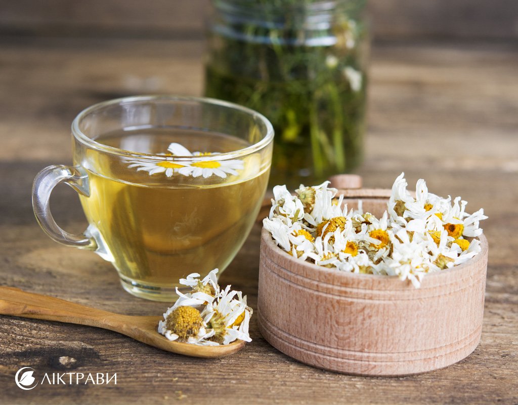 Чай з ромашки: в чому користь для здоров’я та чи варто вживати?
