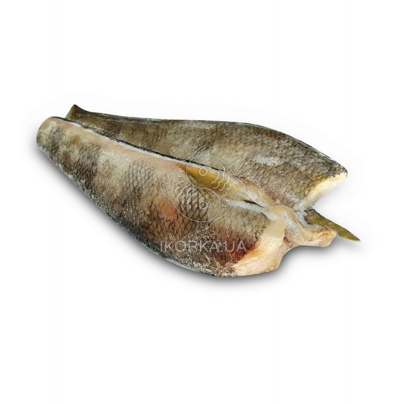 Що таке нототенія: користь риби для здоров’я та харчування?