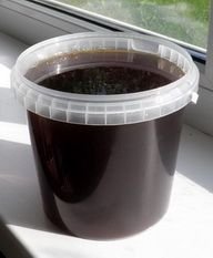 Чим корисний мед гречаний: ключові переваги для вашого здоров’я?