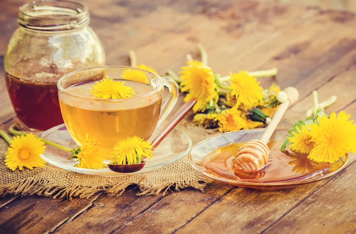 Чай з квіток кульбаби: в чому користь для вашого здоров’я?