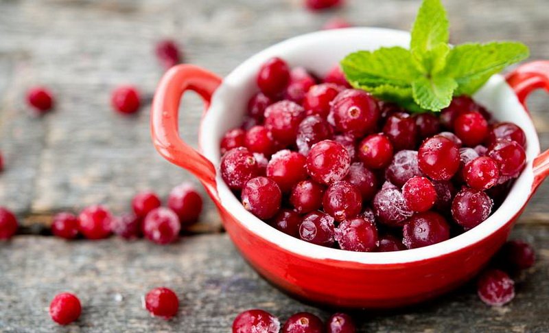 Морс з журавлини: яка користь для здоров’я та повсякденного вжитку?