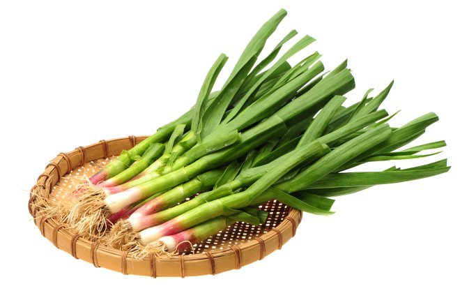 Які корисні властивості має молодий часник для вашого здоров’я?