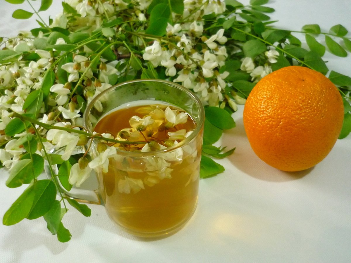 Користь чаю з акації: які переваги для здоров’я ви отримаєте?