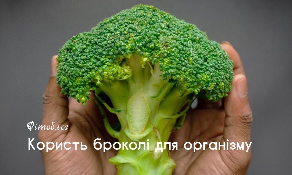 Чим корисна броколі для чоловіків: Здоров’я, сила та енергія