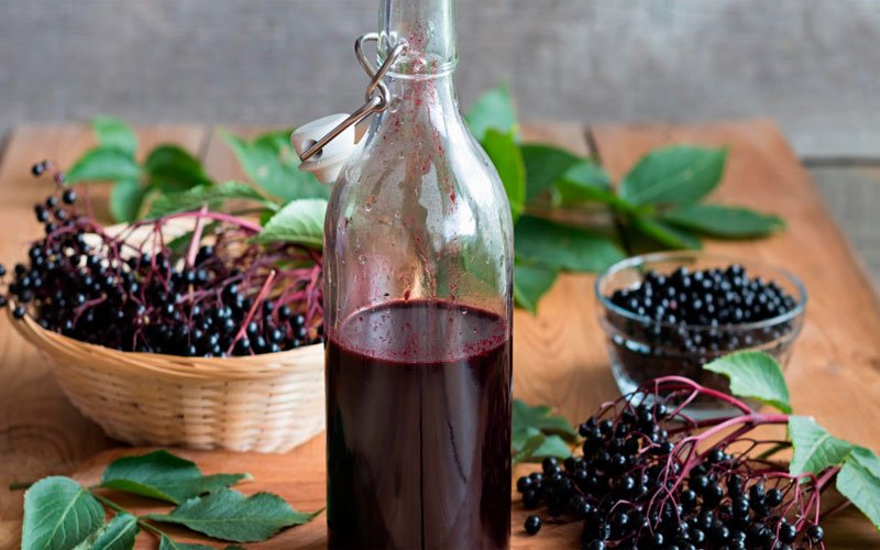 Чи корисне вино з бузини? Відкрийте секрети користі для здоров’я