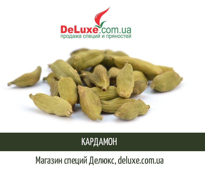 Кардамон користь: які переваги цієї спеції для вашого здоров’я?