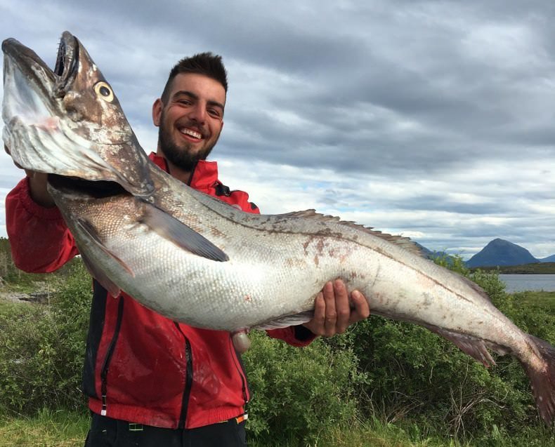 Чим корисна риба хек: користь і шкода для здоров’я людини?