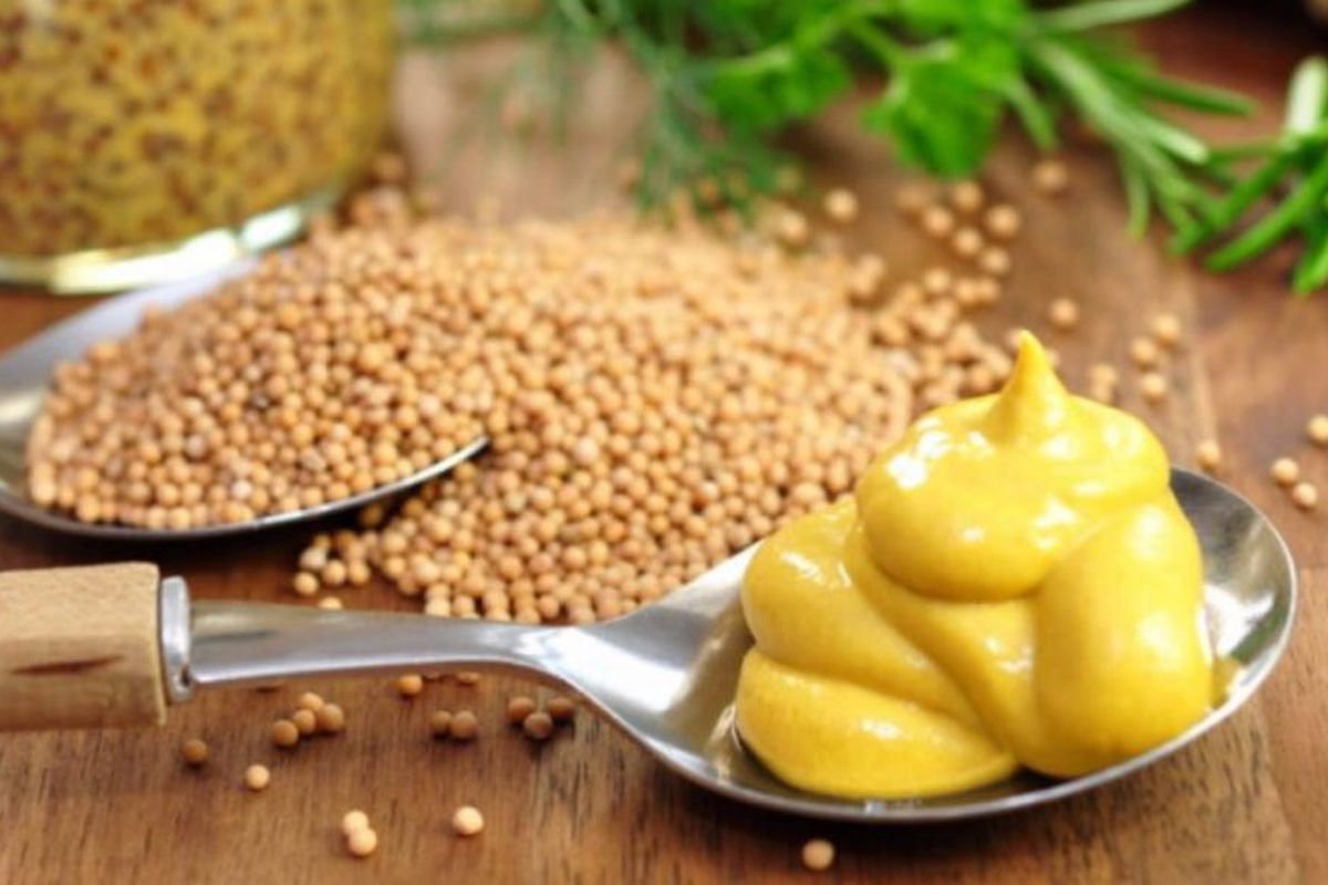 Як гірчиця впливає на здоров’я: користь і можливі шкода?