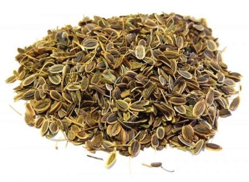 Користь чаю з насіння кропу: чому варто спробувати цей напій?