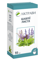 Користь чаю з шавлії: які оздоровчі властивості ви отримаєте?