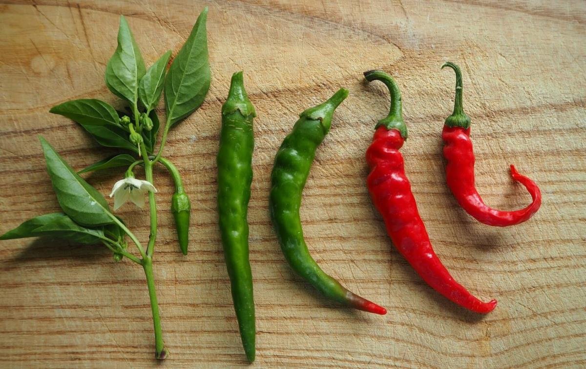 Червоний гострий перець користь: як він покращує ваше здоров’я?