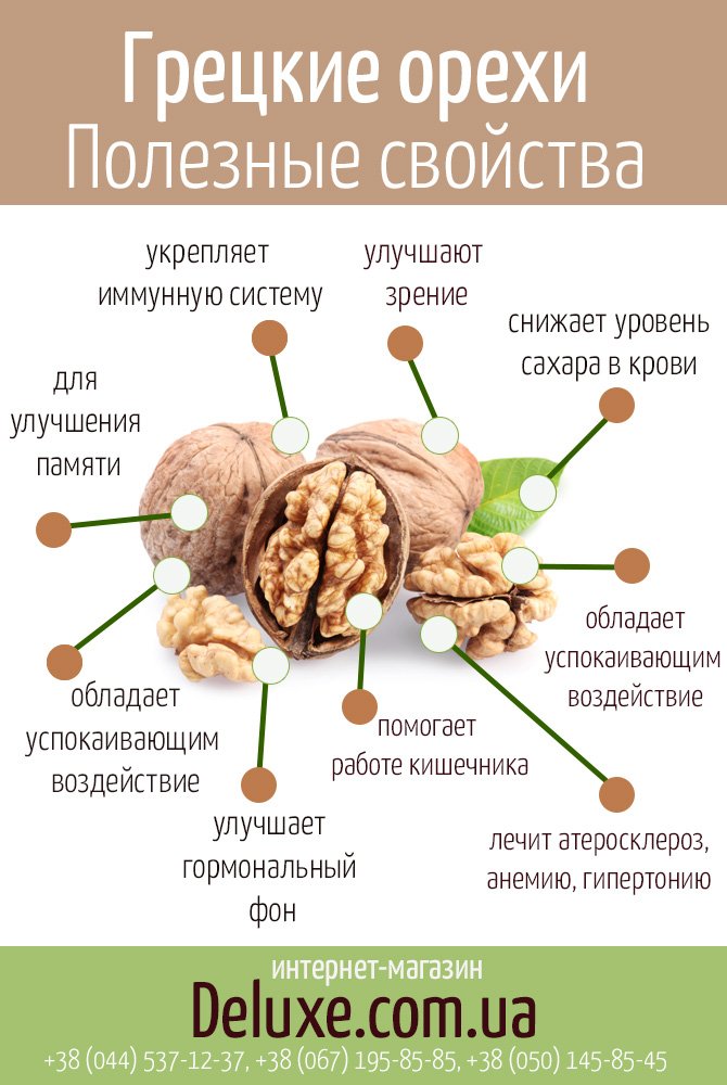 Які здорові переваги приносить користь грецьких горіхів для вас?