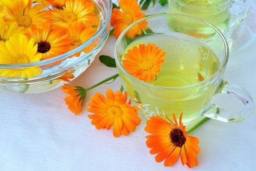 Чай з календули: користь для здоров’я та як правильно заварювати?