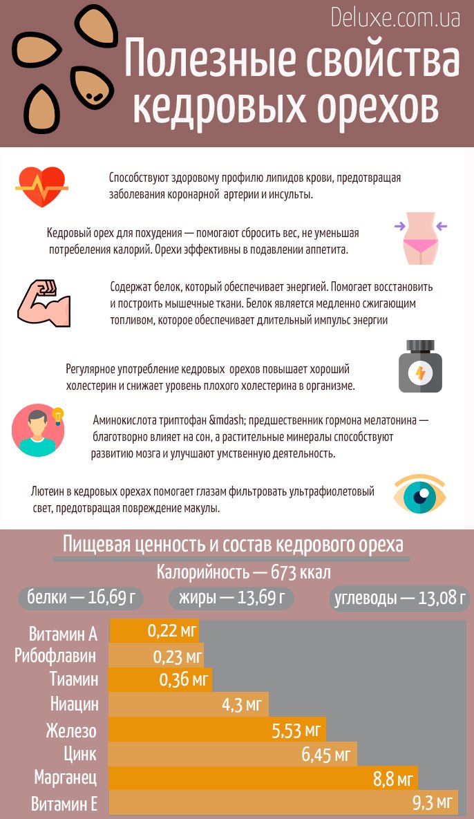Кедровий горіх: користь та цінність у вашому раціоні здоров’я
