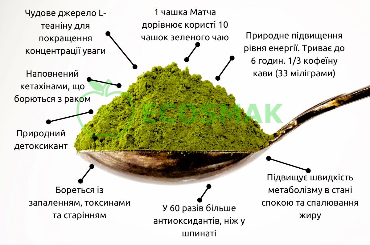 Що таке чай матча та яка його користь для здоров’я і самопочуття?