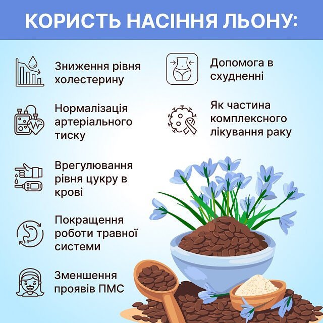 Яка користь льону для організму: дивовижні переваги для здоров’я?