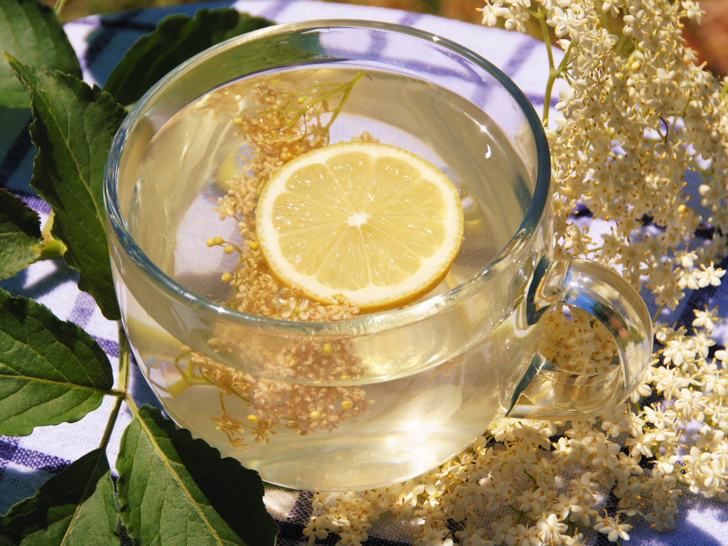 Квас з бузини: користь і шкода напою для вашого здоров’я?