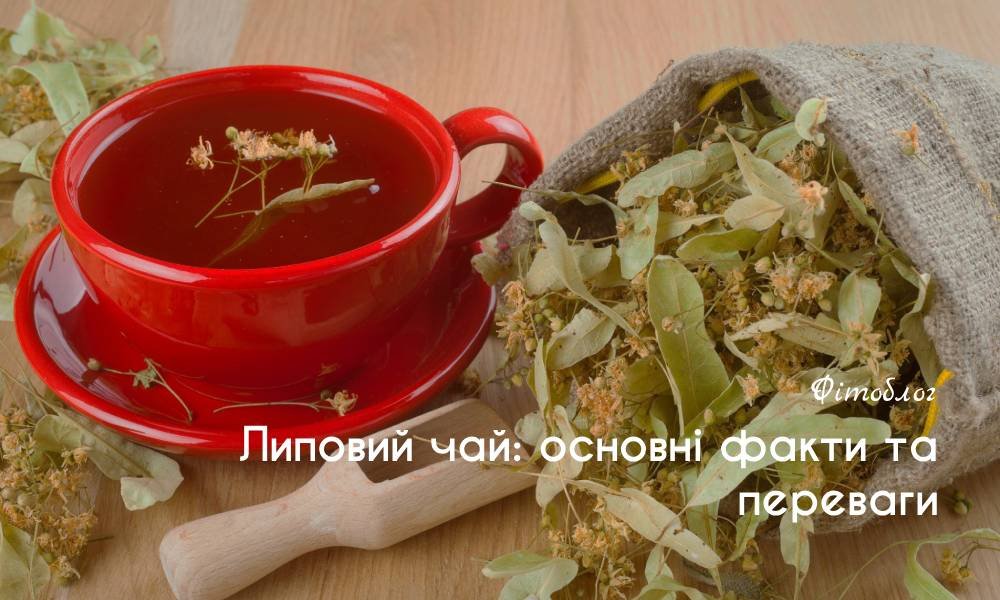 Переваги липового чаю: основні корисні властивості напою