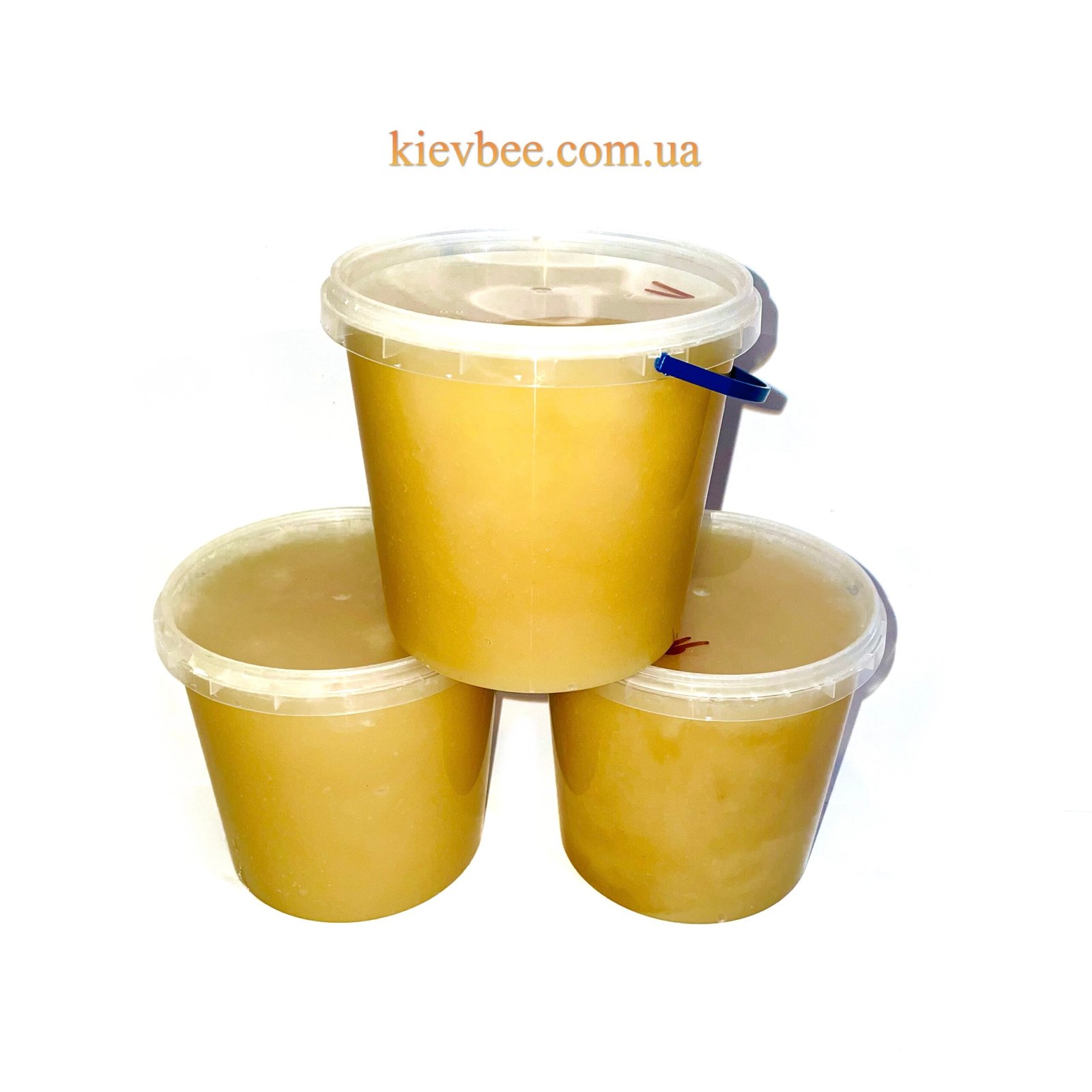 Липовий мед: користь та переваги для здоров’я в повсякденному житті