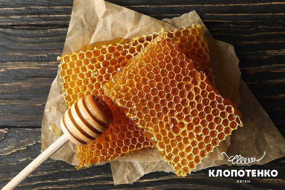 Чим корисні медові соти: користь для здоров’я та лікувальні властивості