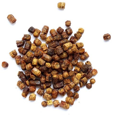 Перга: користь і шкода для здоров’я – основні аспекти