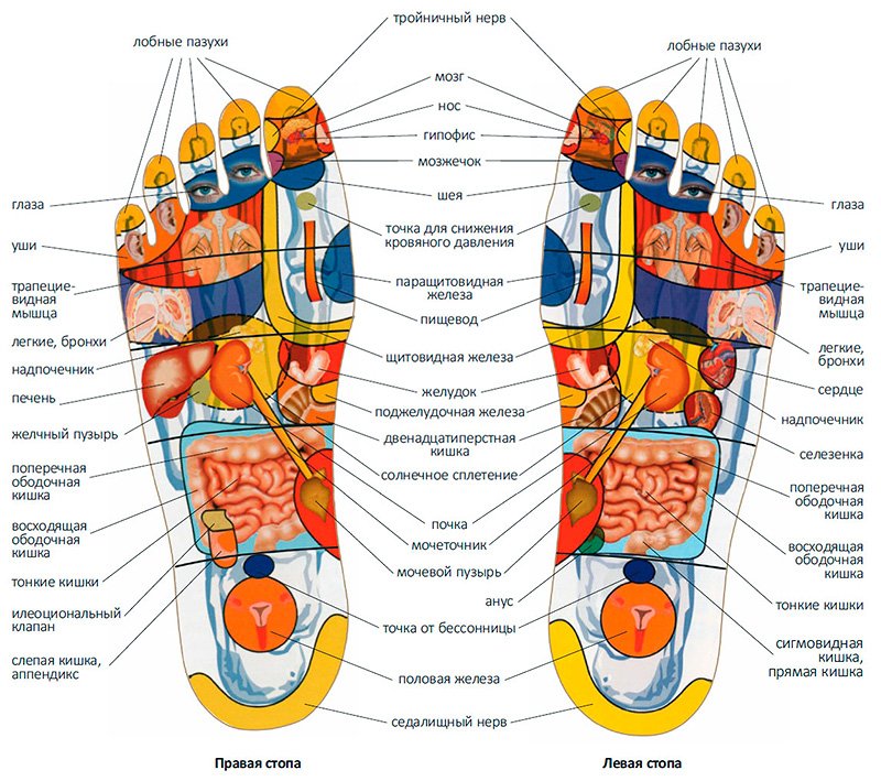 Масаж стоп: Користь та вплив на здоров’я та самопочуття