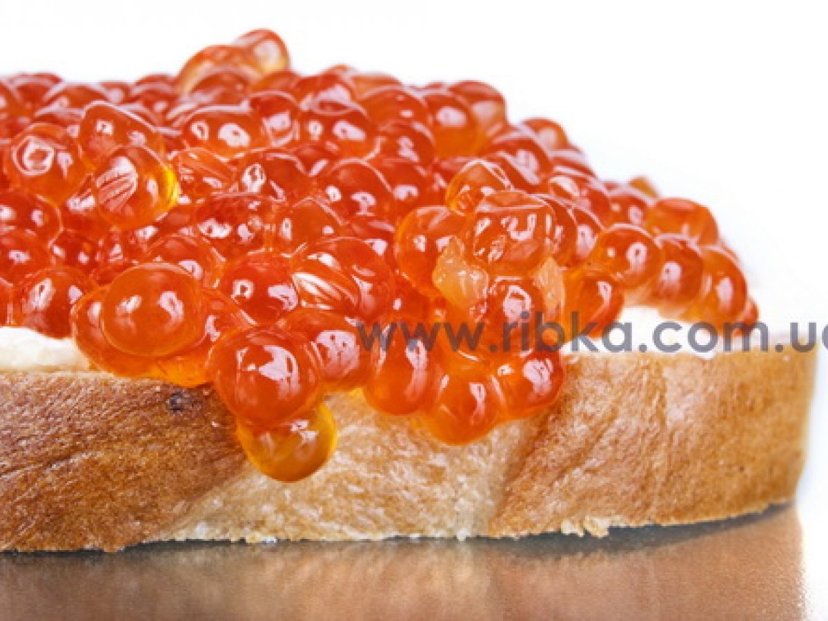 Червона ікра користь: у чому її цінність для здоров’я людини?
