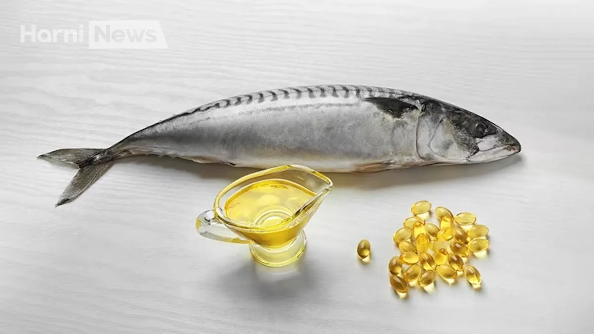 Риб’ячий жир користь і шкода: корисні властивості та ризики вживання