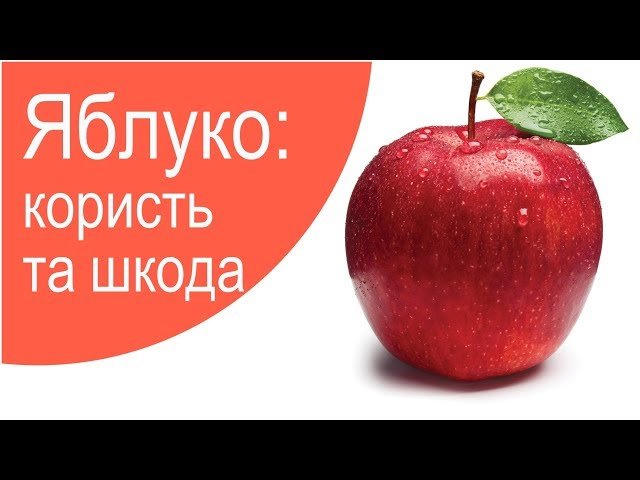 Яблука: користь і шкода для організму — що варто знати?