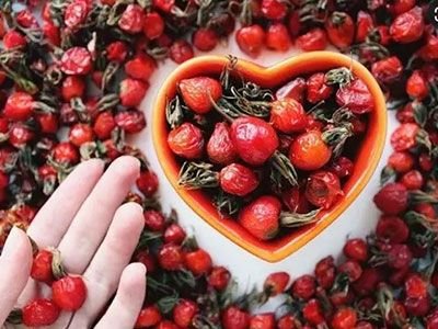 Як шиповник приносить користь здоров’ю? Досліджуємо деталі!