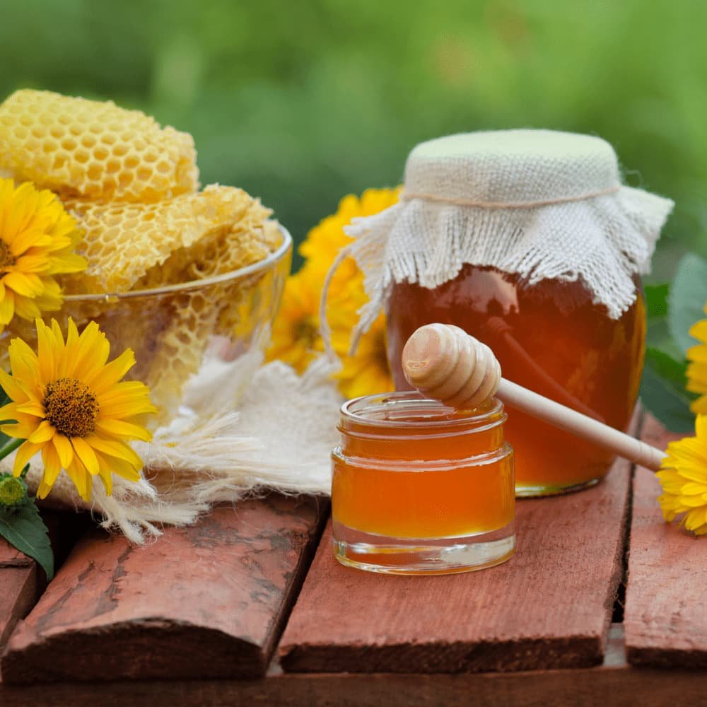 Чим корисний соняшниковий мед: основні переваги та застосування