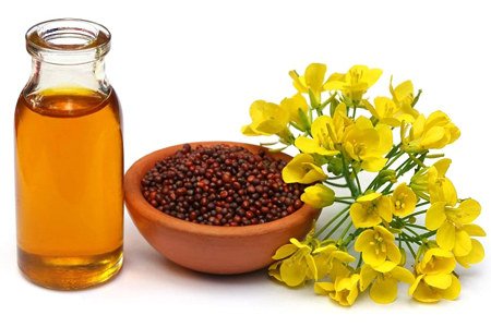 Рижієва олія: користь і шкода для здоров’я, на що звернути увагу?