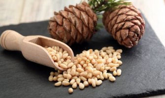 Кедрові горіхи: яка користь та чому варто додати в раціон?