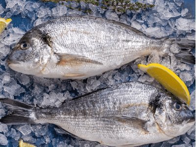Дорадо користь: які цінні властивості містить ця риба?