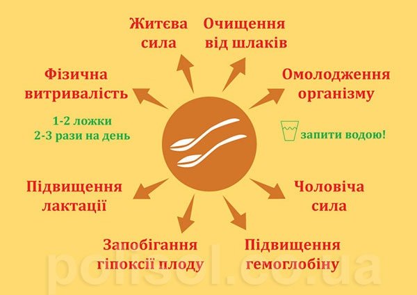 Що таке полісол і яка його користь для здоров’я?